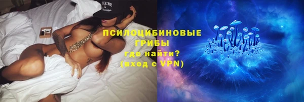 ECSTASY Михайлов