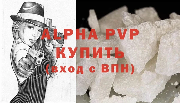 стафф Михайловск