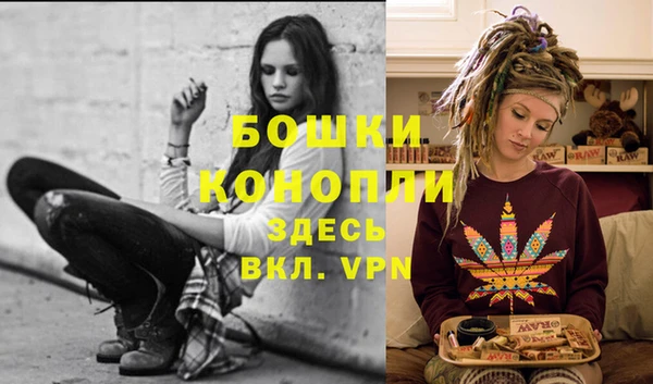 ECSTASY Михайлов
