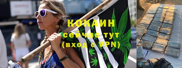 стафф Михайловск