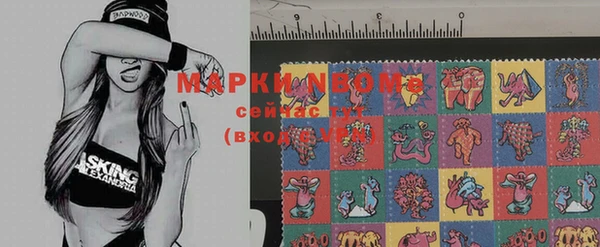 стафф Михайловск