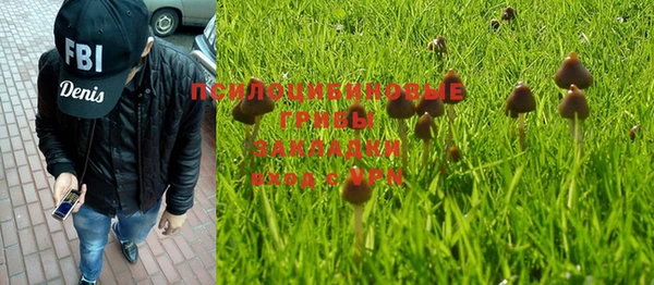 стафф Михайловск